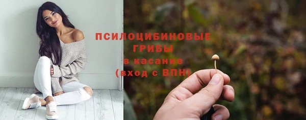 мдпв Новокубанск