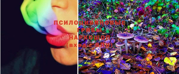 первитин Новозыбков