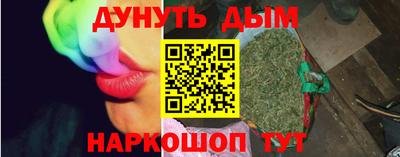 сатива Лесосибирск