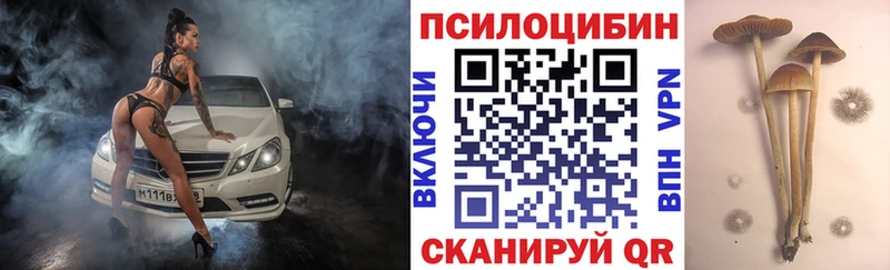 где найти Холмск Псилоцибиновые грибы мухоморы
