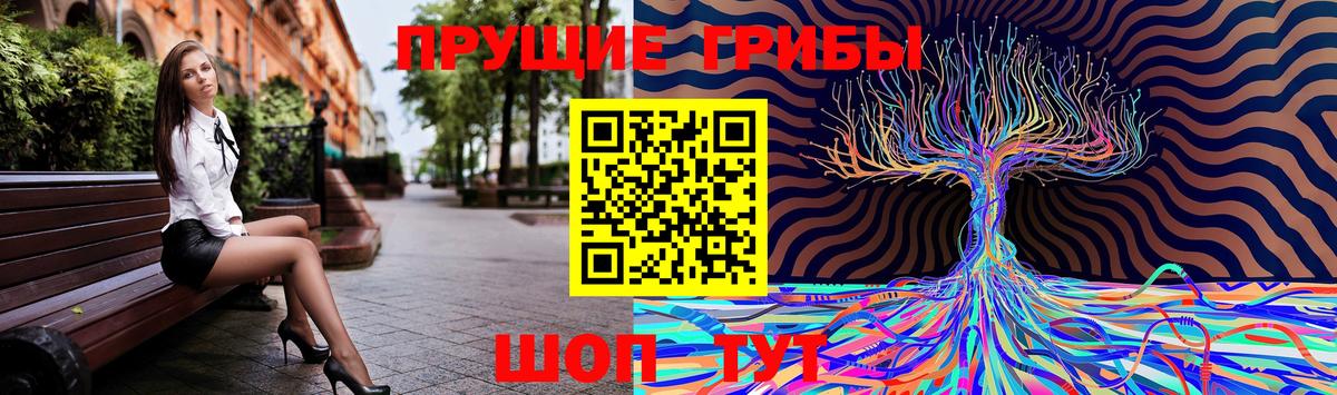 Холмск  Псилоцибиновые грибы Psilocybine cubensis  Галлюциногенные грибы мухоморы  Вход с VPN 