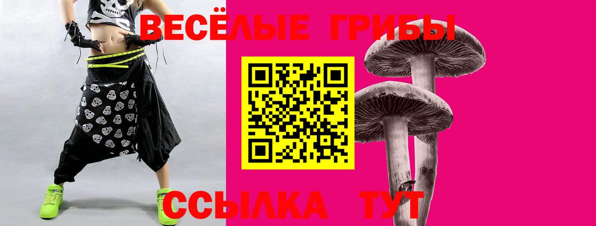 Галлюциногенные грибы MAGIC MUSHROOMS Холмск