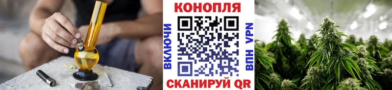 Шишки марихуана сатива  Холмск 